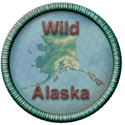 Wild Alaska Tour