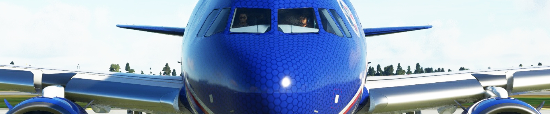 Banner 2